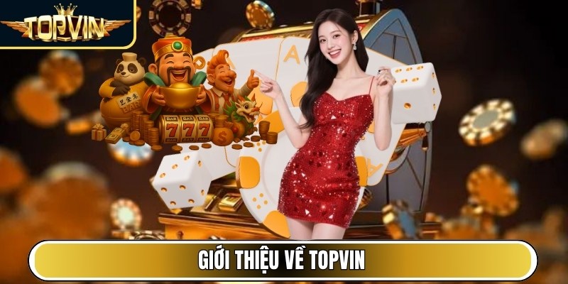 Giới thiệu về Topvin
