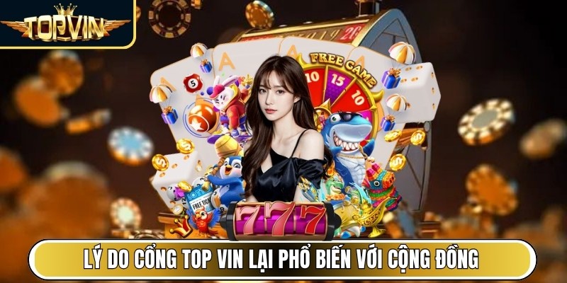 Lý do cổng Top Vin lại phổ biến với cộng đồng