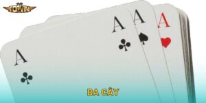 Moon Princess Topvin – Nàng công chúa mặt trăng